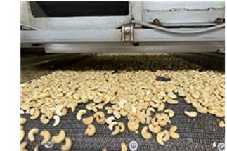 cooling suction_cashew_nuts.png